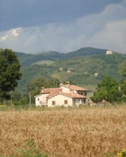 Fontecese