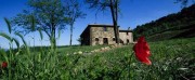 Agriturismo Acerona